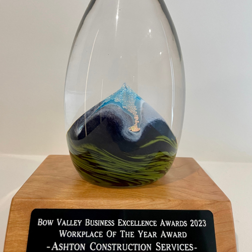 ACS Workplace of the Year Awards 2023