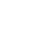 ACS-stats-icon 5w