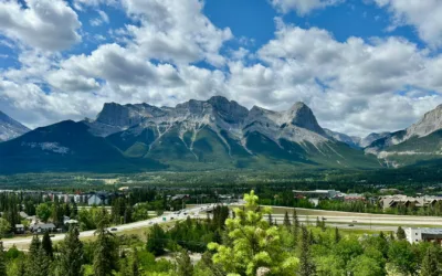 How Hiring Local Construction Experts Keeps The Bow Valley Strong