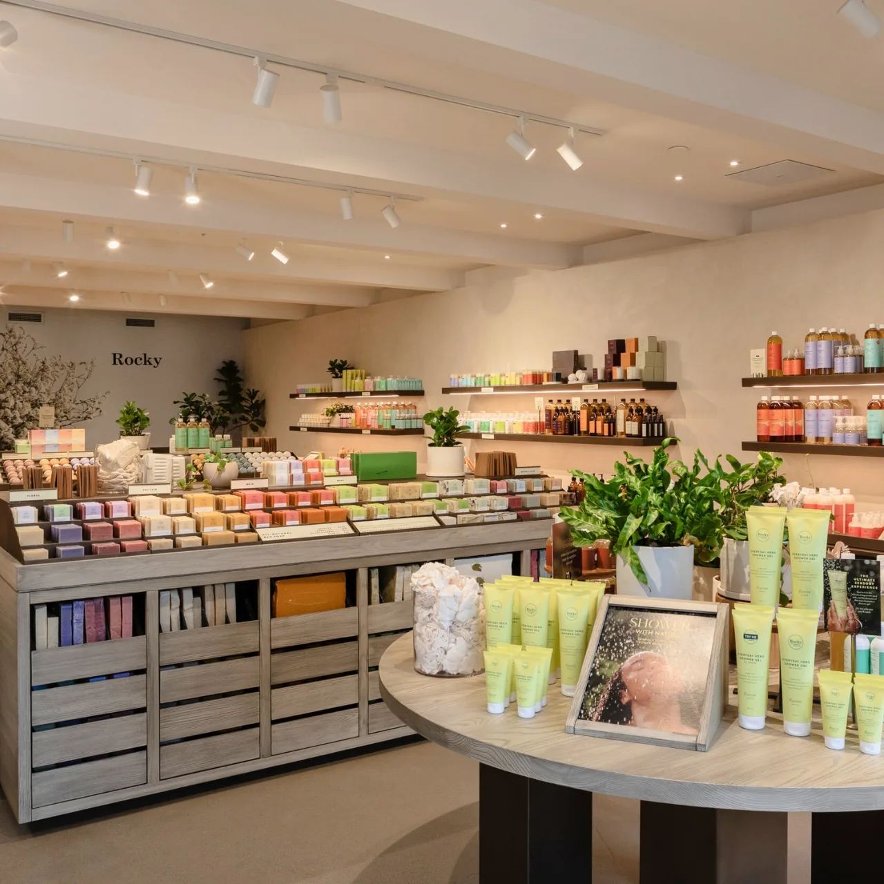 Ashton Construction Services - Projects - Retail