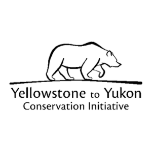 Yellowstone to Yukon Conservation Initiative - logo Yellowstone to Yukon Conservation Initiative - logo